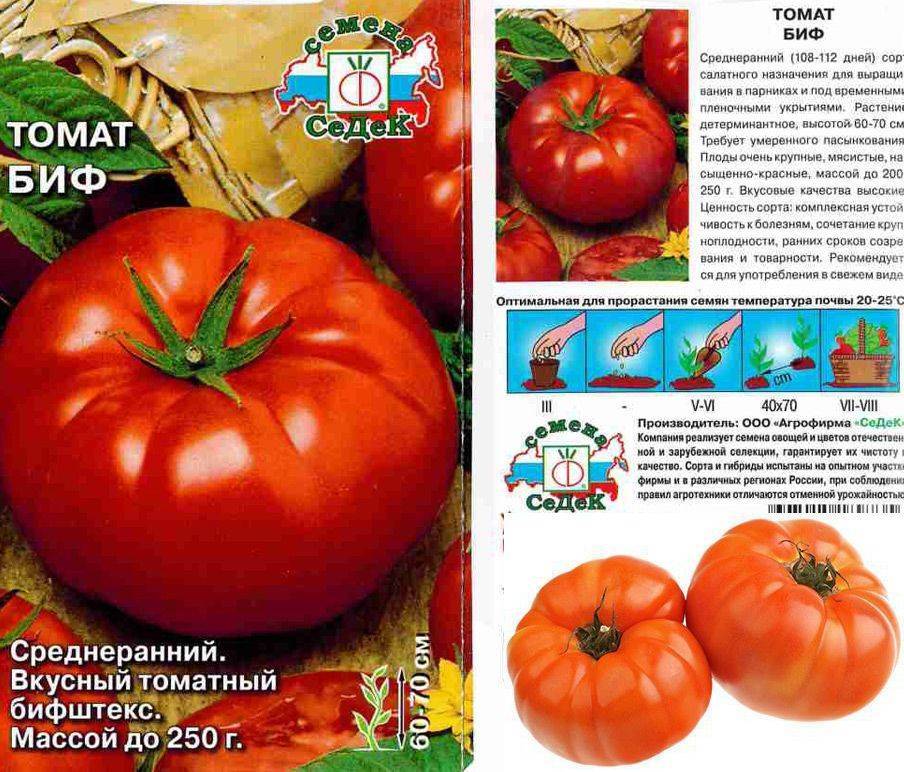 Характеристика и описание сорта томата Биф Биф, его урожайность