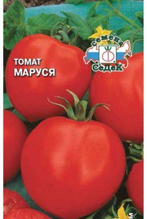 ᐉ томат "маруся": характеристика и описание сорта, рекомендации по выращиванию вкусных помидоров, фото-материалы - orensad198.ru