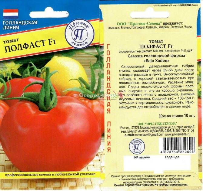 Характеристика и описание сорта томата Полфаст, его урожайность