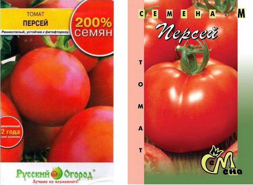 Описание и особенности выращивания сорта томата Персей