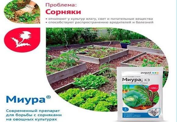 Агрокиллер от сорняков: инструкция по применению гербицида, нормы расхода