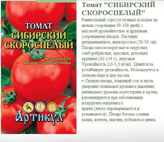 Высокоурожайный и неприхотливый томат «бенито» — секреты получения богатого урожая