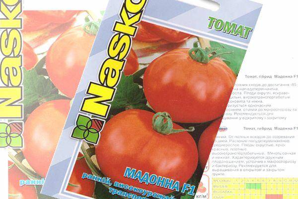 Томат примадонна: описание и характеристика сорта, особенности выращивания и удобрения помидоров, отзывы тех, кто сажал, фото