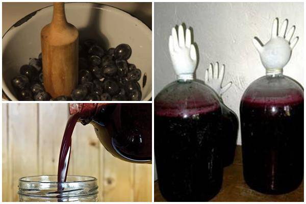 Топ 6 рецептов, как в домашних условиях сделать вино из кишмиша