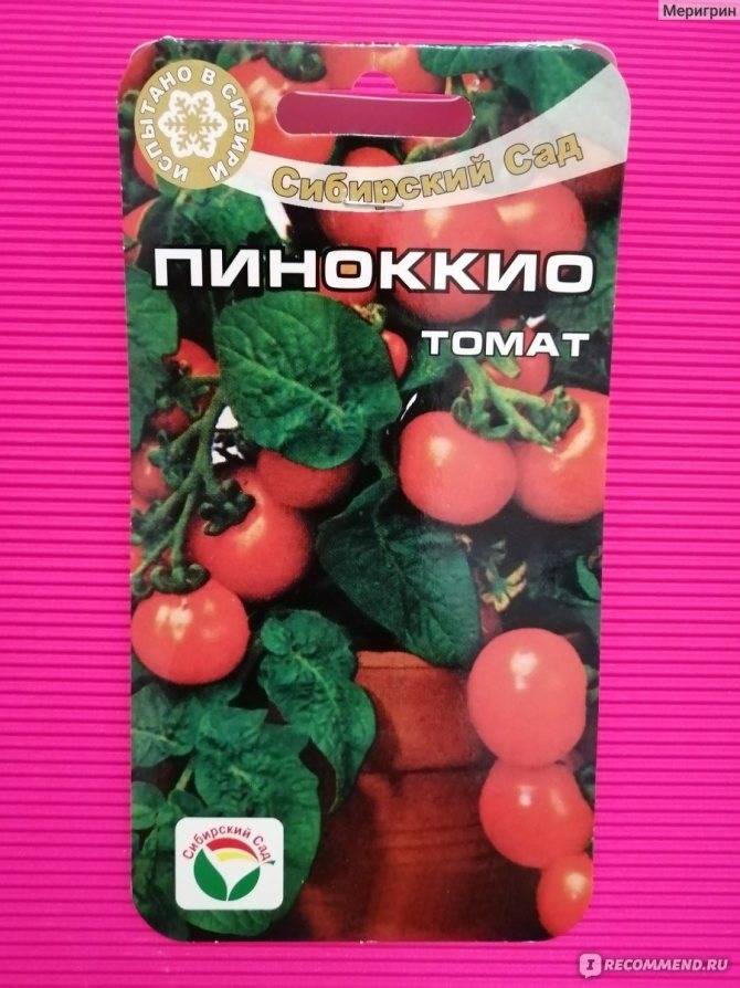 ᐉ выращивание томата пиноккио на подоконнике дома и на балконе, описание этого карликового сорта помидоров, а также основные правила ухода за ним - orensad198.ru