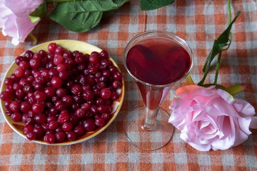 Вино из клюквы в домашних условиях: особенности приготовления и рецепты