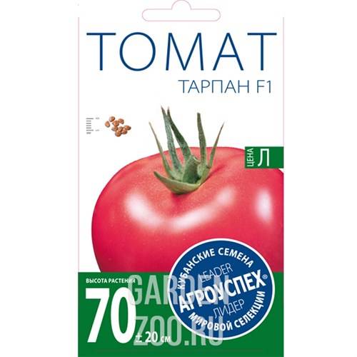Гибрид голландской селекции – томат сорта «тарпан» f1: фото, описание и характеристики