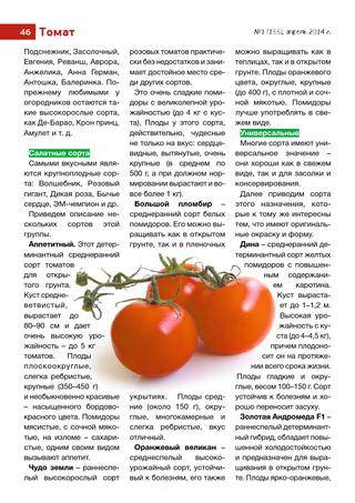 Серия томатов под общим названием перцевидный: описание разновидностей, агротехника, отзывы