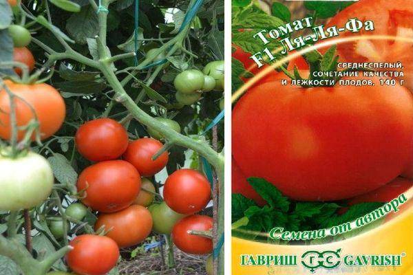 Томат "ля ля фа" f1: характеристика сорта, описание и фото помидоров