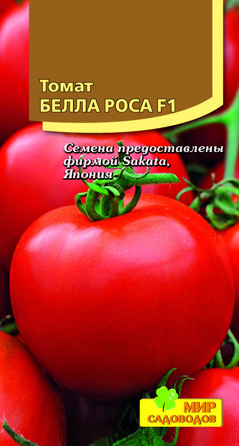 Описание сорта томата Белле f1, его характеристики и выращивание
