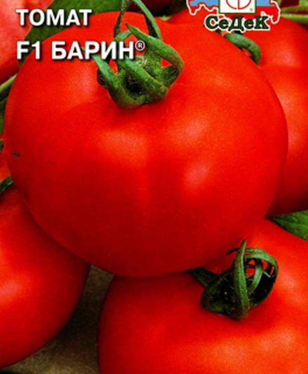 Описание сорта томата Барин, особенности выращивания и урожайность