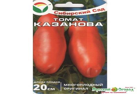 Высокоурожайный и среднеспелый сорт томатов казанова