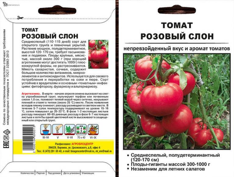 Ранние сорта томатов — самые популярные сорта с описанием характеристик