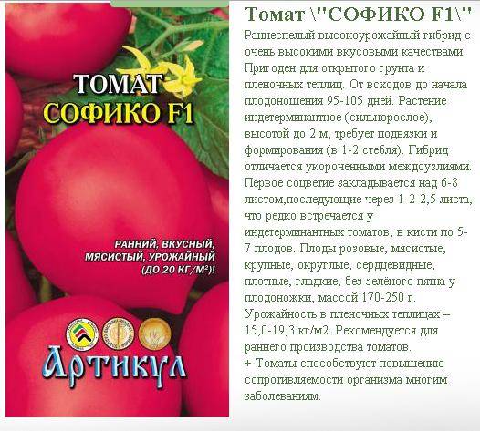 Описание сорта томата Летний сидр, выращивание и уход