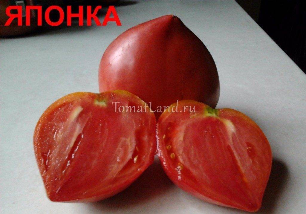 Описание сорта томата японка и его характеристики