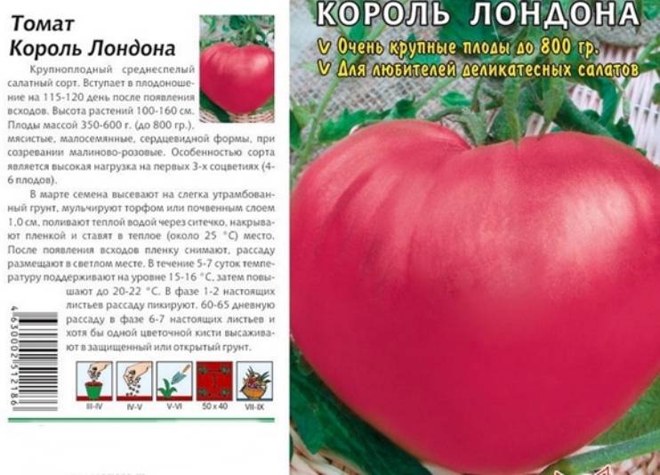 Фото, видео, отзывы, описание, характеристика, урожайность гибрида томата «розовый король f1».