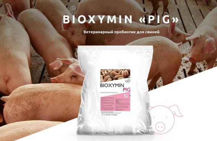 Витамины для свиней и поросят: для быстрого роста