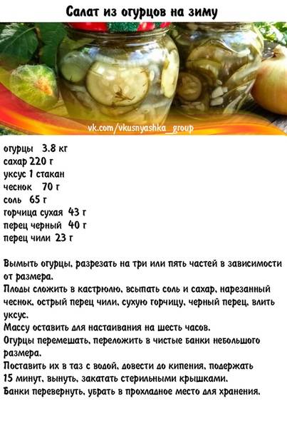Самые вкусные рецепты квашеного болгарского перца на зиму, видео