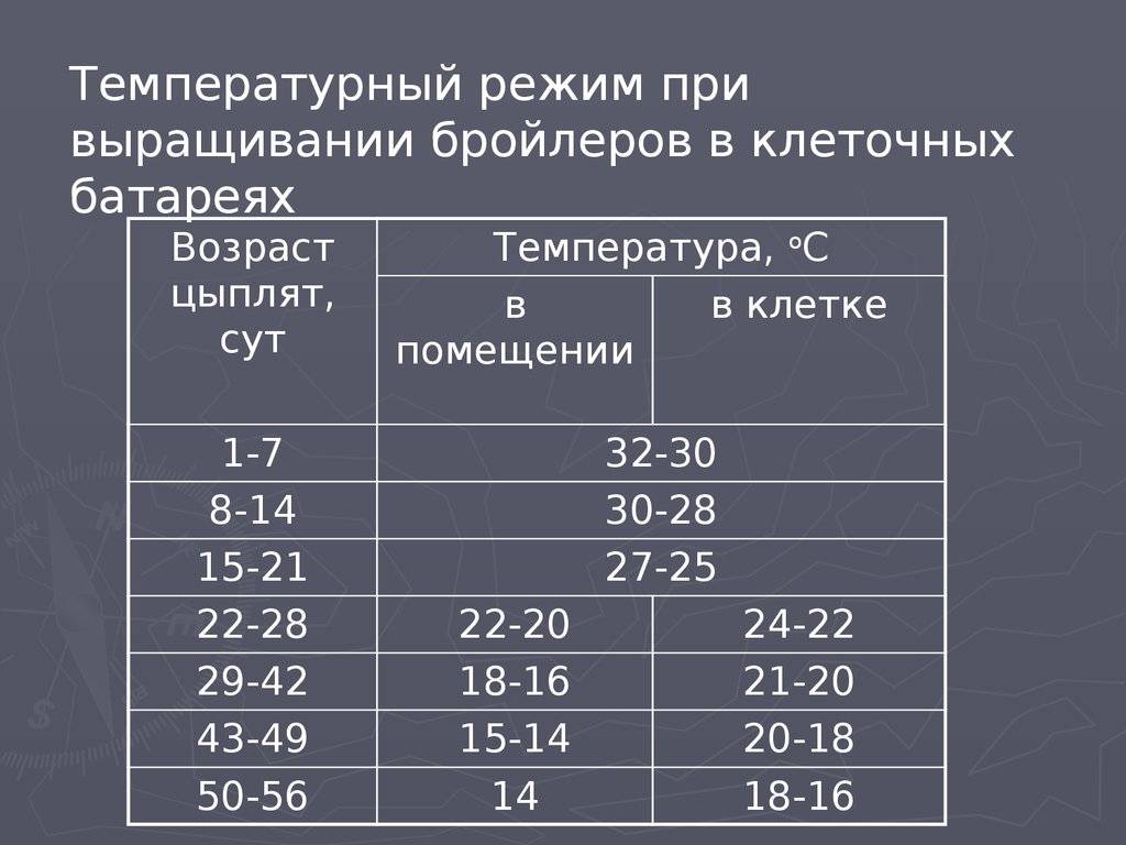 Таблица оптимальных показателей температуры для содержания бройлеров