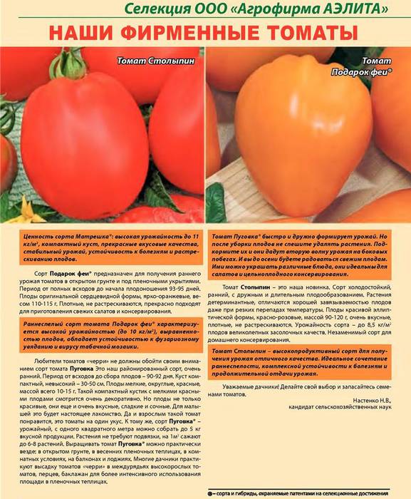 Этот сорт укрепит любые отношения — томат виагра: описание помидоров и особенности их выращивания