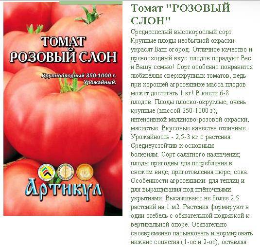 Отзывы о помидорах «малиновое чудо»: аромат и отменный вкус