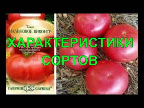 Фото, видео, отзывы, описание, характеристика, урожайность гибрида помидора «малиновая сладость f1»