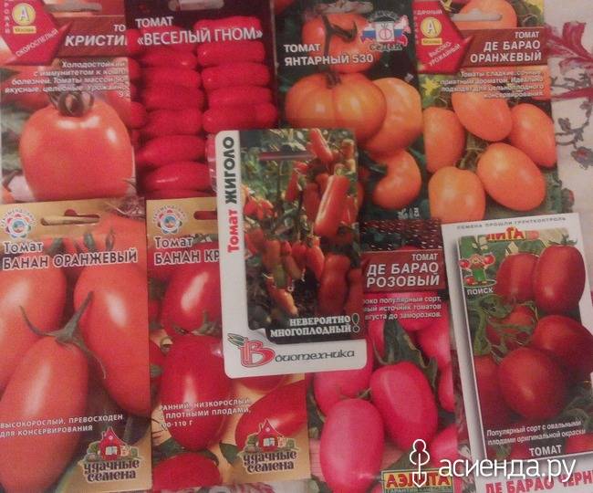 Томат казанова - отзывы, описание, фото, урожайность помидор