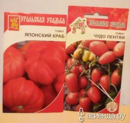 Отличный выбор для занятых огородников — томат чудо лентяя: описание сорта и характеристики