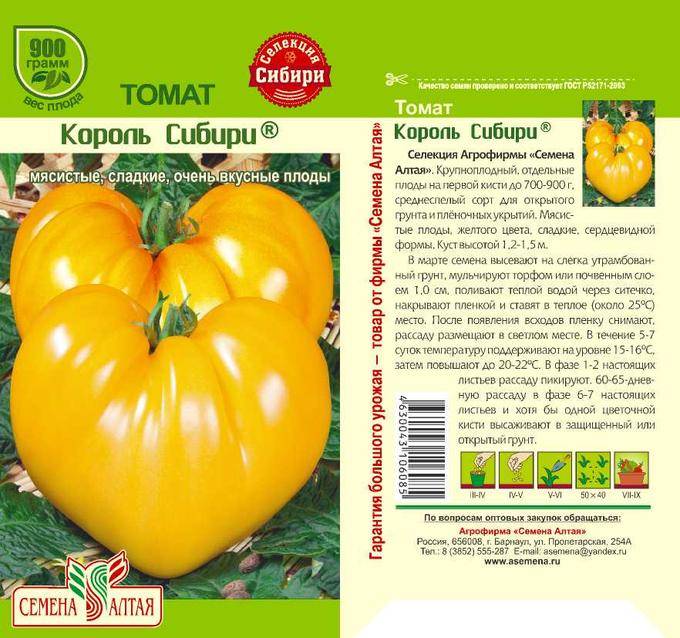 Низкорослый штамбовый сорт томатов топтыжка, агротехника выращивания