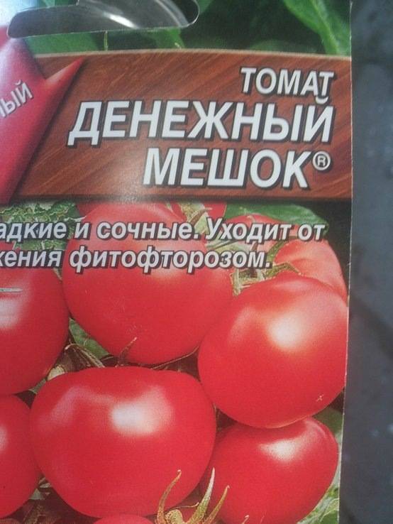ᐉ томат денежный мешок характеристика и описание - zooshop-76.ru
