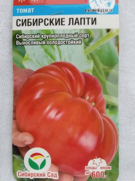 Подборка томатов “мамонт”: описание и характеристика сортов