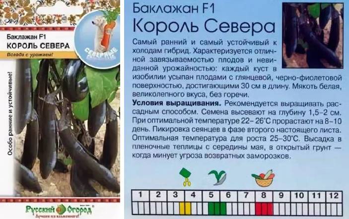 Баклажан король рынка f1: отзывы, фото, характеристика и описание сорта, урожайность, особенности выращивания