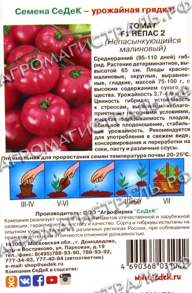 Почетный гость на вашем загородном участке — томат «важная персона» и его преимущества перед другими сортами