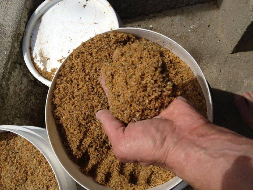 Свиной комбикорм: как запарить сухой в гранулах, можно ли кормить вьетнамских поросят