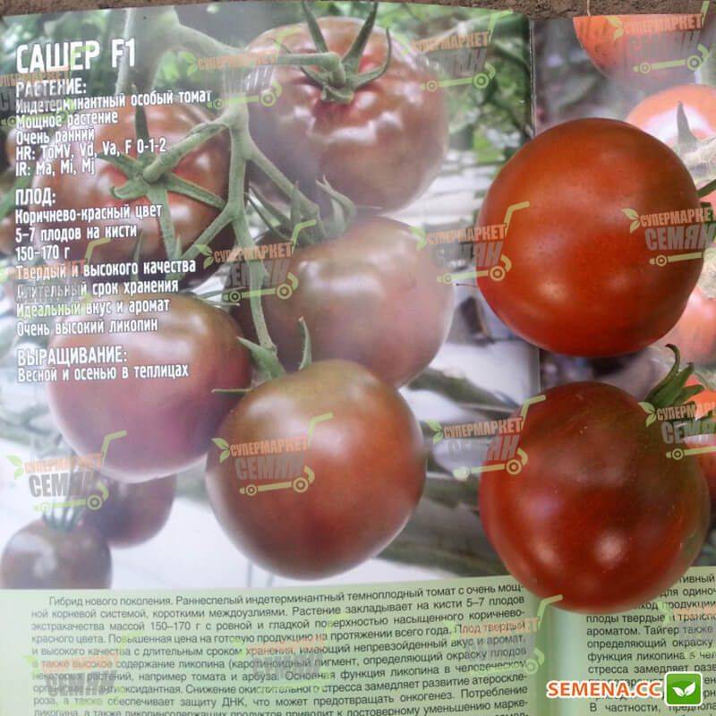 Томат красавчик f1: описание и характеристика, особенности выращивания и ухода за сортом, урожайность, фото