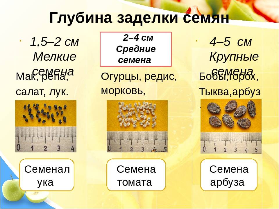 Что означают картинки на семенах