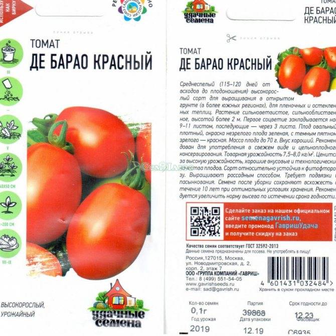 Описание сорта томата сашер, его характеристика и выращивание – дачные дела