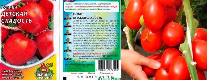 Томат сосулька розовая: описание, отзывы, фото, урожайность | tomatland.ru