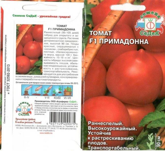 Как посадить и вырастить томат «летний сад»