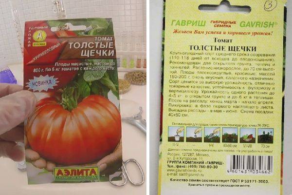 Описание томатов аттия f1 и махитос, агилис и других сортов