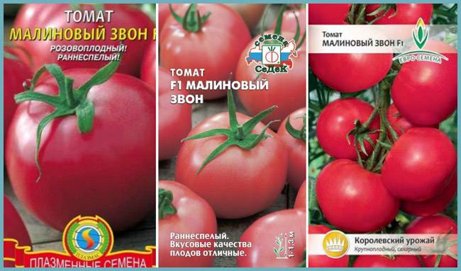 Описание сорта томата малиновый ожаровский, урожайность и уход