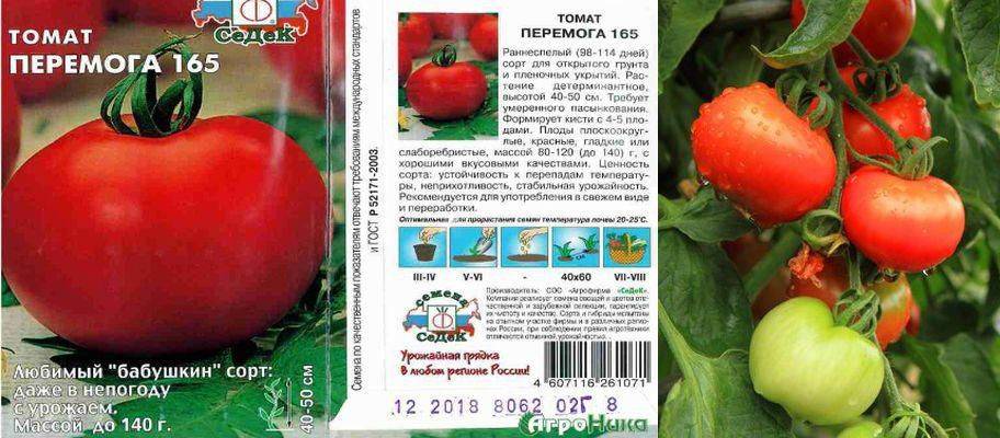 Фото, видео, отзывы, описание, характеристика, урожайность сорта томата «супермодель».