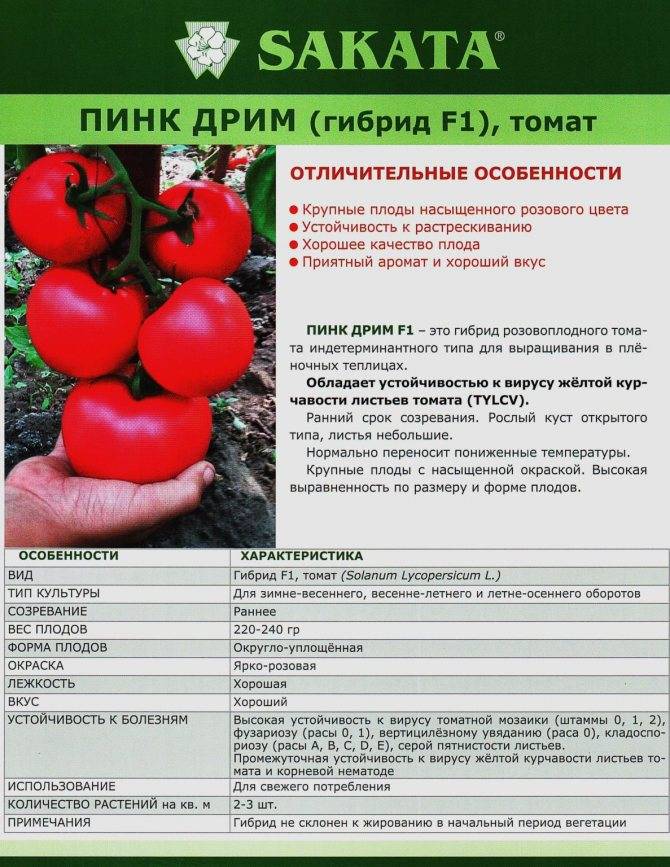 ᐉ томат "подарочный": описание и особенности сорта - orensad198.ru