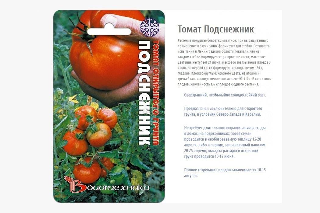 Томат снегирь: описание и характеристика сорта, отзывы, фото, урожайность | tomatland.ru
