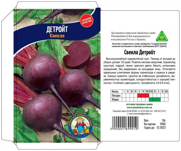 Высокоурожайный сорт от итальянских селекционеров — свекла «детройт»: полный обзор и инструкция по выращиванию