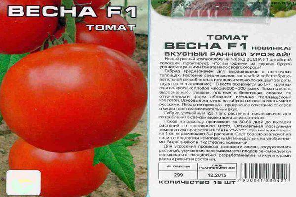 Крупноплодный сорт с устойчивостью к холодам — томат маршал победа: описание помидоров