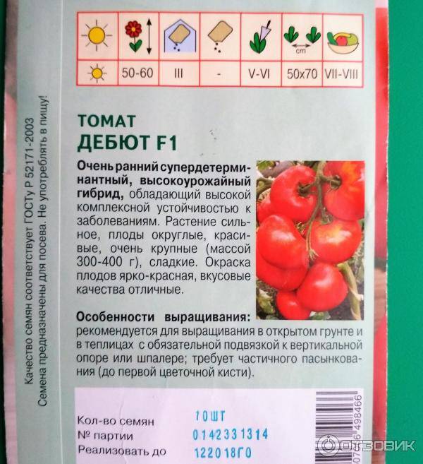 Характеристика томата шаста, выращивание и борьба с вредителями