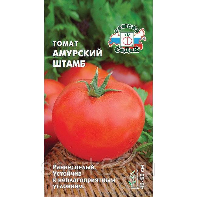 Лучший сорт для любителей раннего урожая — томат амурская заря: описание и характеристики