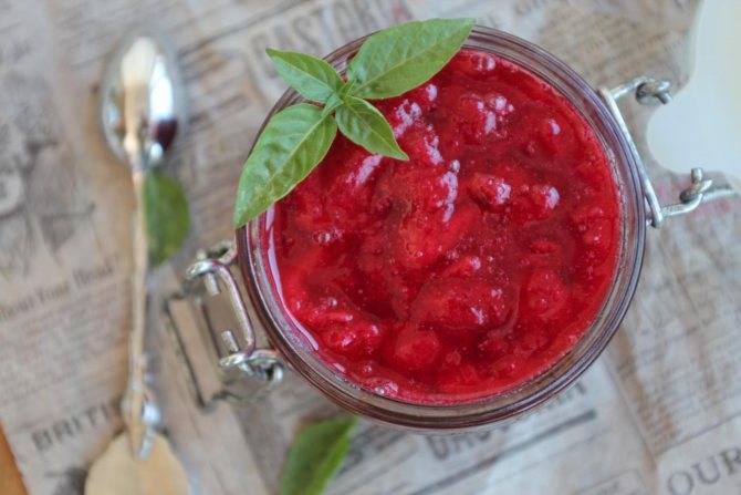 Соус из красной смородины на зиму — 9 самых простых и очень вкусных рецептов