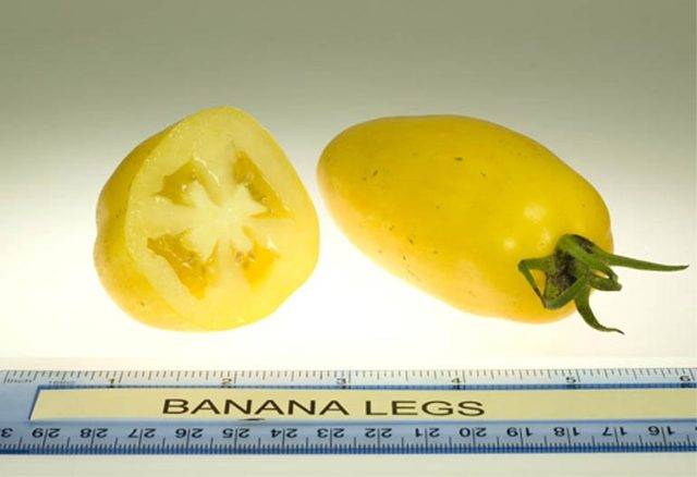 Знакомьтесь, томат с самым завидным описанием и аппетитным названием — черри-банано!